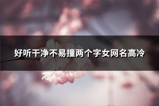 好聽干凈不易撞兩個字女網名高冷(精選932個)