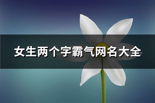 女生兩個字霸氣網(wǎng)名大全(優(yōu)選344個)