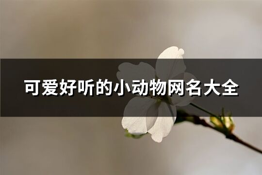 可愛(ài)好聽(tīng)的小動(dòng)物網(wǎng)名大全(442個(gè))