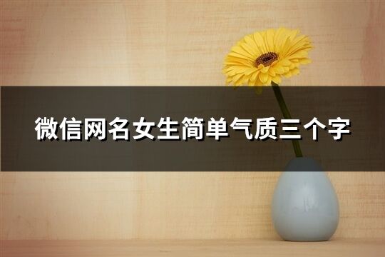 微信網名女生簡單氣質三個字(共816個)