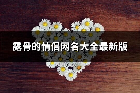 露骨的情侶網(wǎng)名大全最新版(優(yōu)選320個(gè))