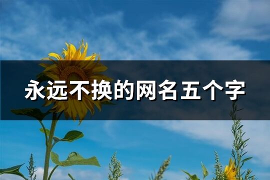 永遠不換的網名五個字(優選250個)