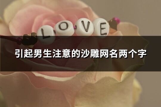引起男生注意的沙雕網名兩個字(共1692個)