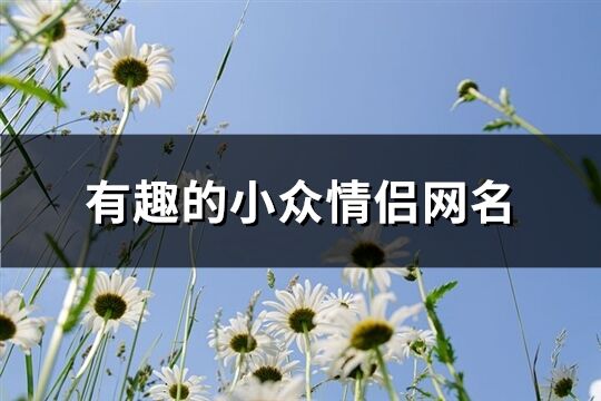 有趣的小眾情侶網名(精選121個)
