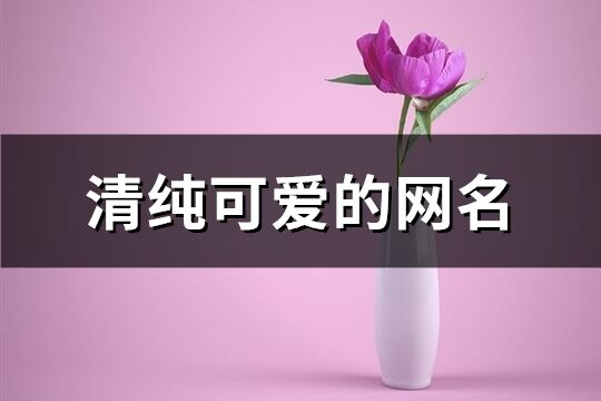 清純可愛的網名(共364個)