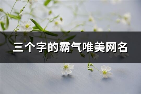 三個字的霸氣唯美網名(310個)