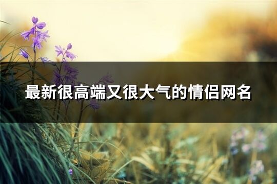 最新很高端又很大氣的情侶網(wǎng)名(81個)