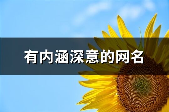有內涵深意的網名(1063個)