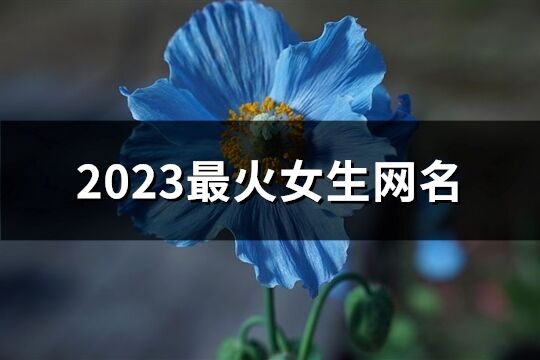 2023最火女生網名(1658個)