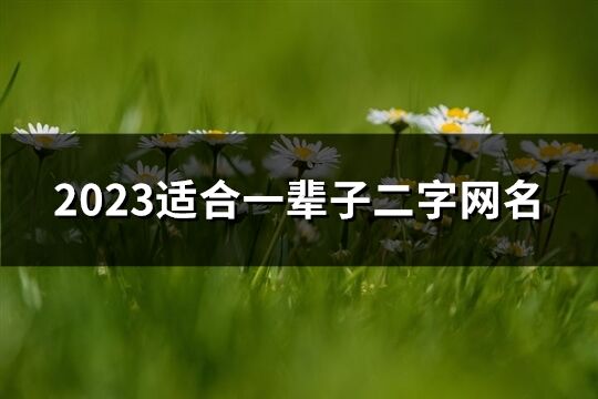 2023適合一輩子二字網名(優選908個)