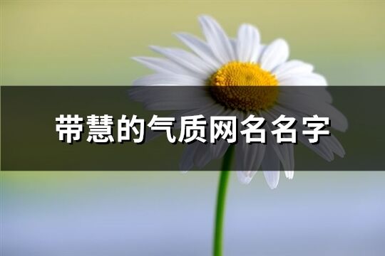 帶慧的氣質網名名字(74個)