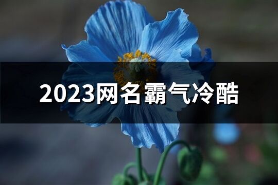 2023網名霸氣冷酷(精選987個)