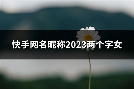快手網名昵稱2023兩個字女(精選322個)