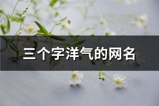 三個字洋氣的網(wǎng)名(共291個)