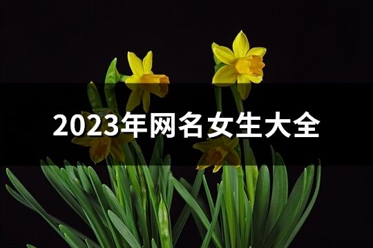 2023年網名女生大全(共1851個)