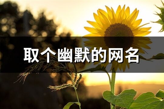 取個幽默的網(wǎng)名(共259個)