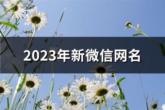 2023年新微信網名(精選1526個)