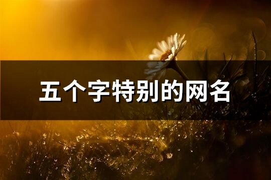 五個字特別的網名(優選1252個)