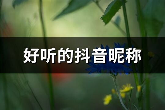 好聽的抖音昵稱(精選1187個)