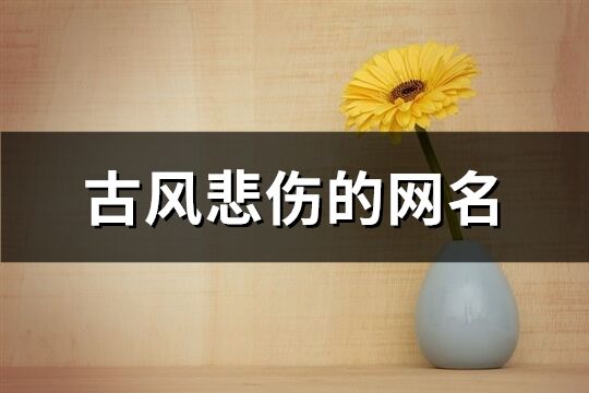 古風悲傷的網(wǎng)名(共536個)