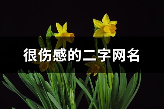 很傷感的二字網(wǎng)名(共932個(gè))