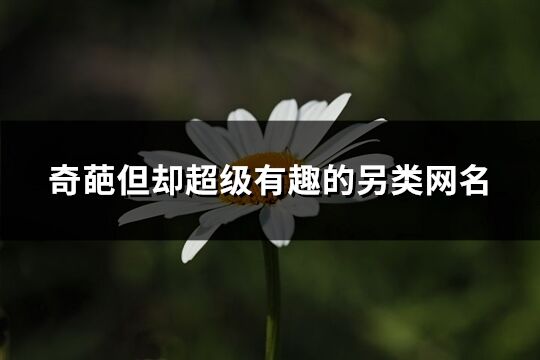 奇葩但卻超級有趣的另類網名(共285個)