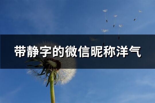 帶靜字的微信昵稱洋氣(共168個)