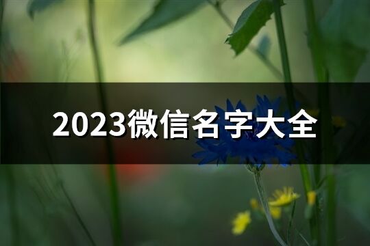 2023微信名字大全(共2797個)