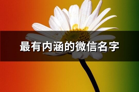 最有內涵的微信名字(共306個)