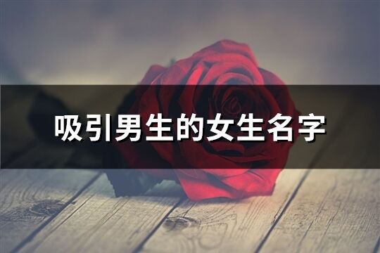 吸引男生的女生名字(精選299個)