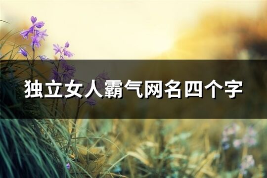 獨立女人霸氣網名四個字(優選407個)