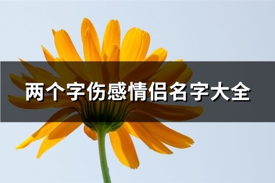 兩個字傷感情侶名字大全(368個)