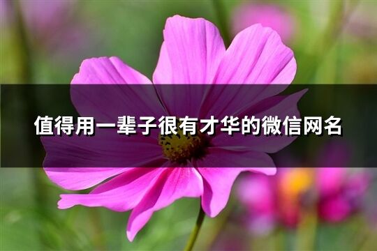 值得用一輩子很有才華的微信網(wǎng)名(精選369個(gè))