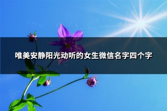 唯美安靜陽光動聽的女生微信名字四個字(共613個)