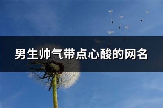 男生帥氣帶點心酸的網名(176個)