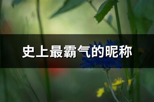 史上最霸氣的昵稱(優選220個)