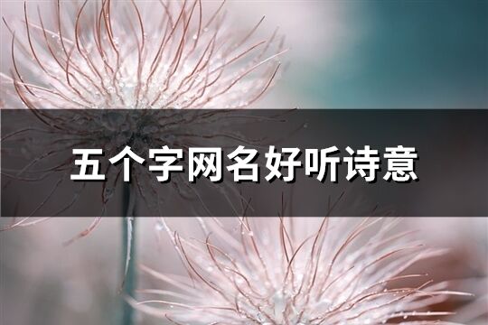 五個字網名好聽詩意(829個)