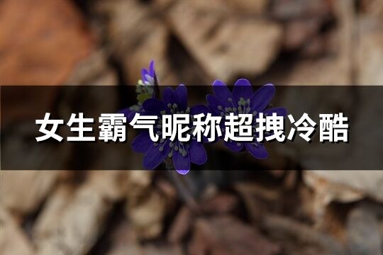 女生霸氣昵稱超拽冷酷(235個)