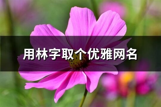 用林字取個優雅網名(精選98個)