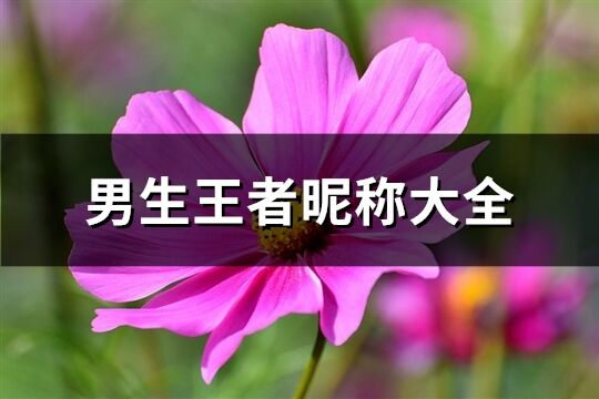 男生王者昵稱大全(198個)