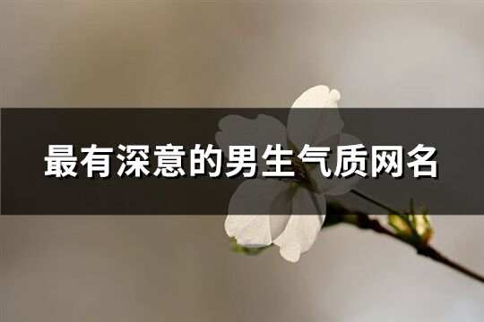 最有深意的男生氣質網名(733個)