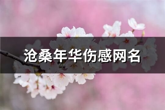 滄桑年華傷感網(wǎng)名(共175個)