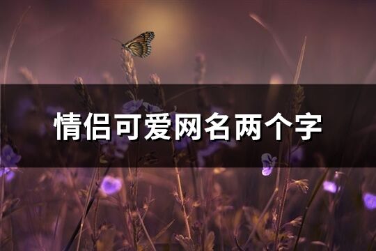 情侶可愛網名兩個字(336個)