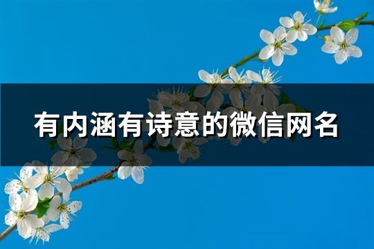 有內涵有詩意的微信網名(精選283個)
