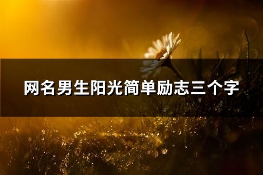 網名男生陽光簡單勵志三個字(精選77個)