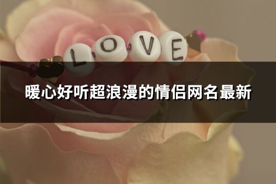 暖心好聽超浪漫的情侶網(wǎng)名最新(精選757個)