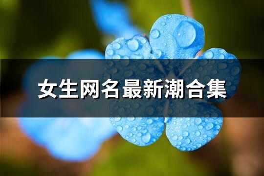 女生網名最新潮合集(優選1247個)