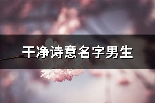 干凈詩意名字男生(共184個)