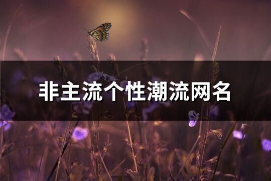 非主流個性潮流網名(精選663個)