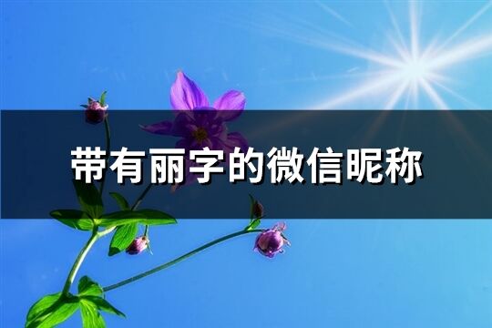 帶有麗字的微信昵稱(73個)